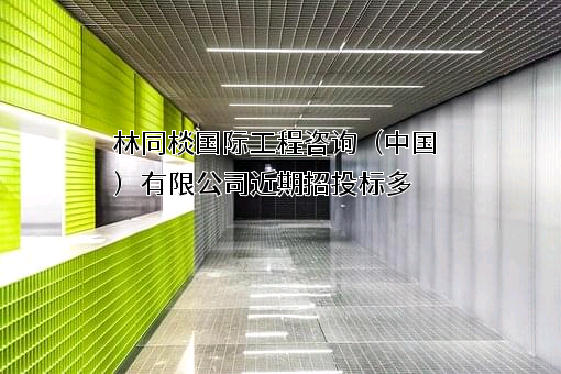 林同棪国际工程咨询（中国）有限公司