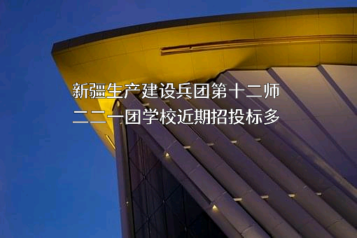 新疆生产建设兵团第十二师二二一团学校