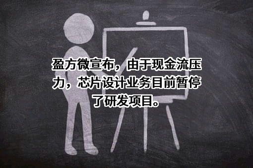 盈方微电子股份有限公司