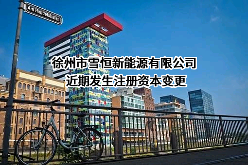 徐州市雪恒新能源有限公司