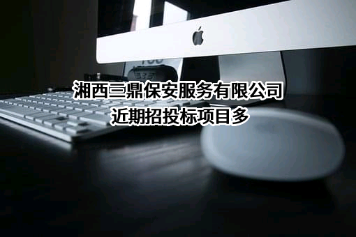 湘西三鼎保安服务有限公司