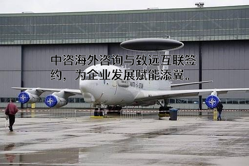 中咨海外咨询有限公司