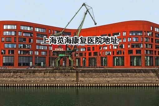 上海览海康复医院地址