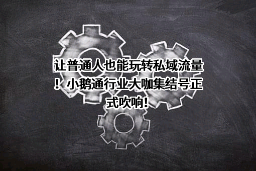深圳小鹅网络技术有限公司