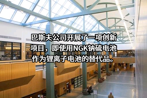 巴斯夫（中国）有限公司