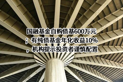 国融基金自购债基600万元；有纯债基金年化收益10%，机构提示投资者谨慎配置