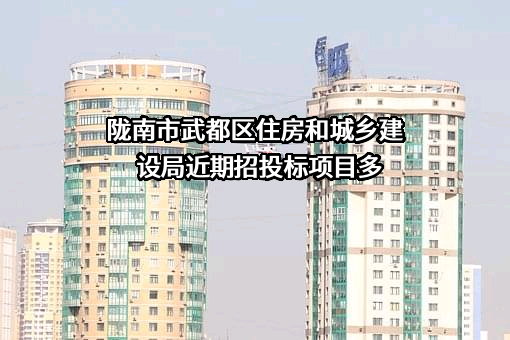 陇南市武都区住房和城乡建设局