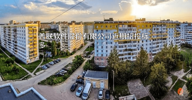 普联软件股份有限公司