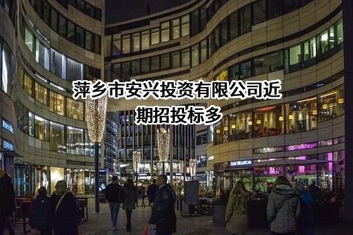萍乡市安兴投资有限公司