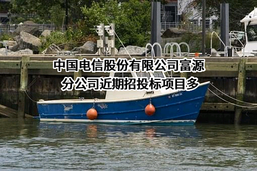 中国电信股份有限公司富源分公司近期招投标项目多