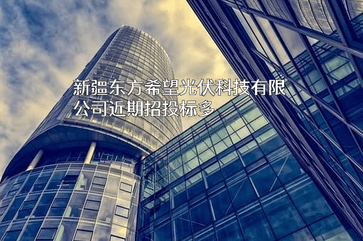 新疆东方希望光伏科技有限公司