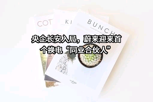 重庆长安汽车股份有限公司
