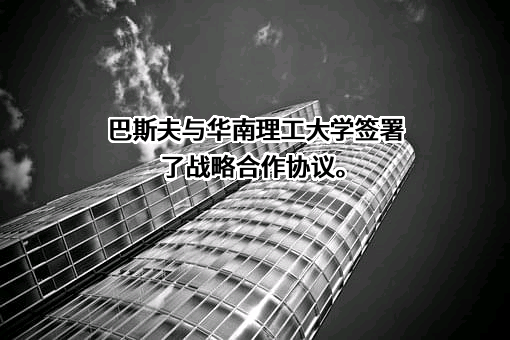 巴斯夫（中国）有限公司
