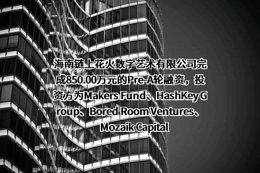 海南链上花火数字艺术有限公司