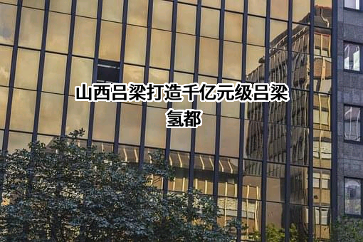 吕梁市工业和信息化局