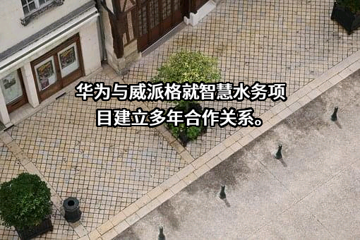 上海威派格智慧水务股份有限公司