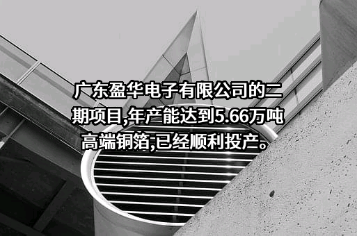 广东盈华电子科技有限公司