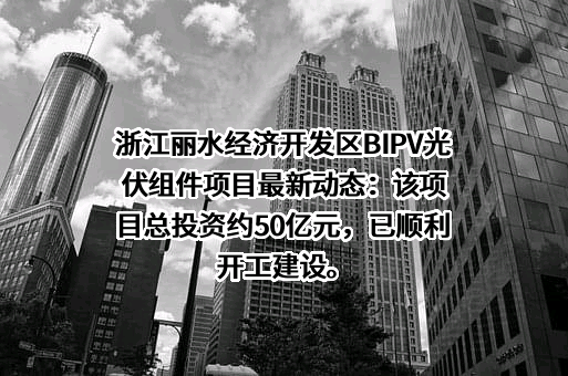 瑞晶新能源（丽水）有限公司