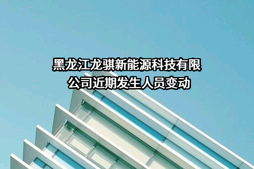 黑龙江龙骐新能源科技有限公司
