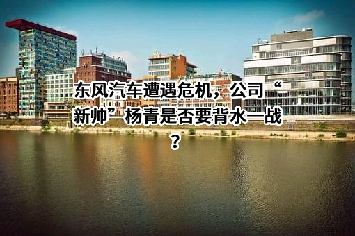 东风汽车集团股份有限公司