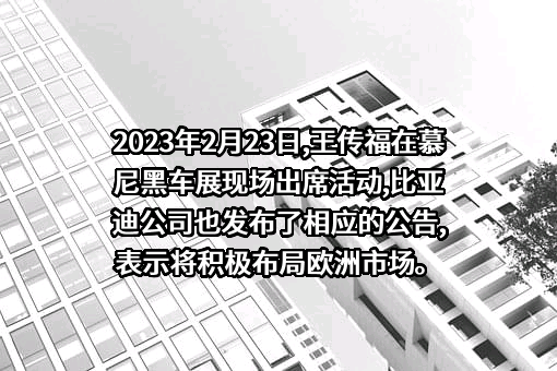 比亚迪股份有限公司