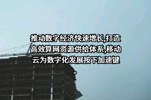 中国移动通信集团有限公司