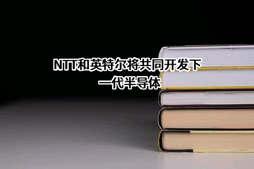英特尔（中国）有限公司