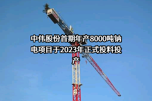 中伟新材料股份有限公司