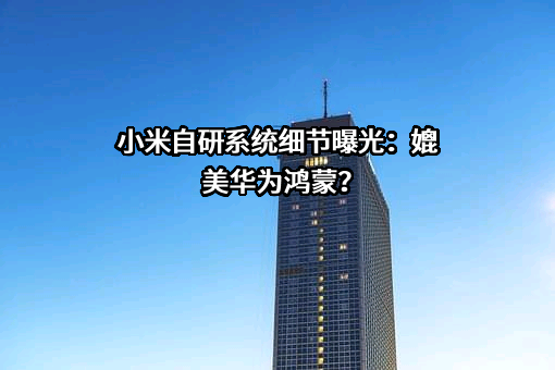 小米科技有限责任公司