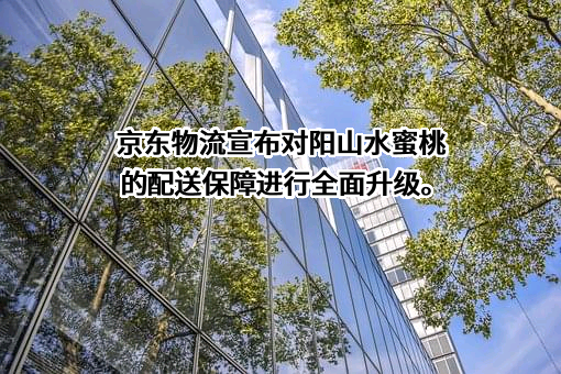 京东物流运输有限公司