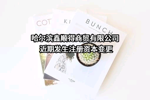 哈尔滨鑫顺得商贸有限公司