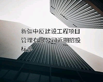 新疆中厦建设工程项目管理有限公司