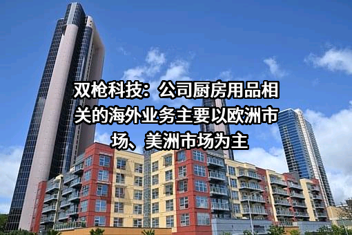 双枪科技股份有限公司