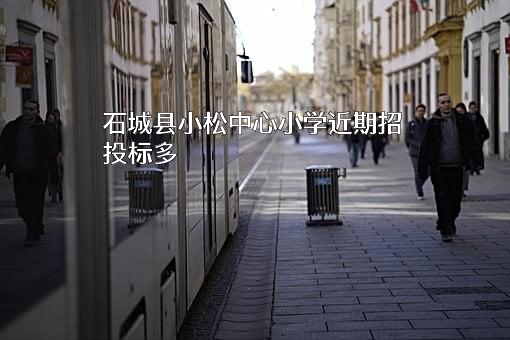 石城县小松中心小学