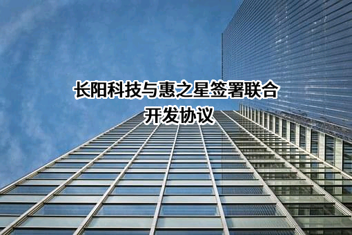 宁波惠之星新材料科技股份有限公司