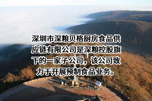 深圳市深粮贝格厨房食品供应链有限公司