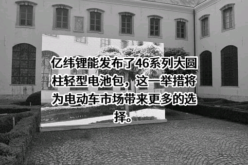 惠州亿纬锂能股份有限公司