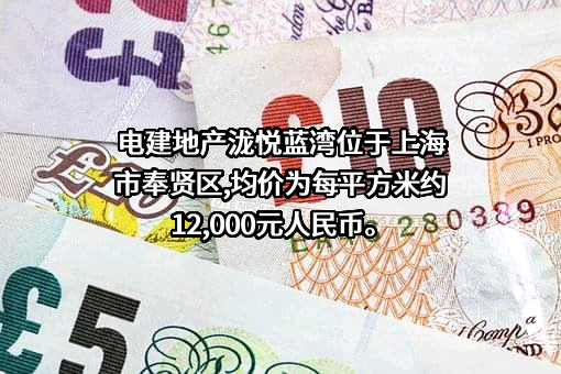 中国电建地产集团有限公司