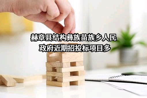 赫章县结构彝族苗族乡人民政府