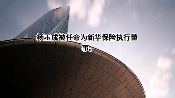 新华人寿保险股份有限公司