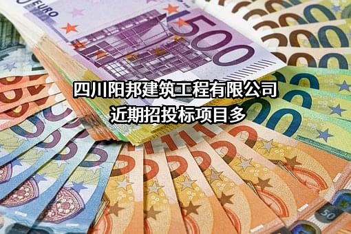 四川阳邦建筑工程有限公司