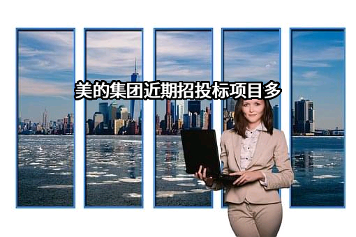 美的集团近期招投标项目多