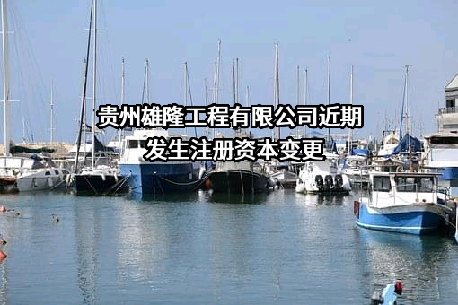 贵州雄隆工程有限公司