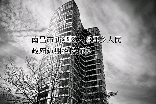 南昌市新建区大塘坪乡人民政府近期招投标项目多