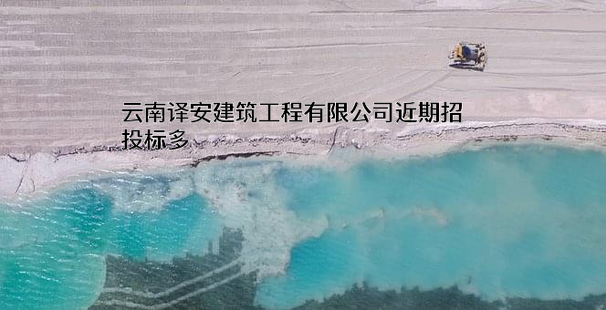 云南译安建筑工程有限公司