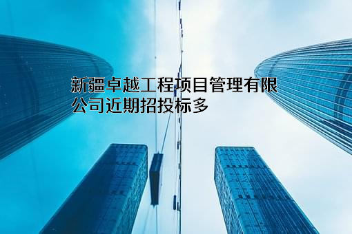 新疆卓越工程项目管理有限公司