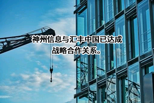 神州数码信息服务股份有限公司