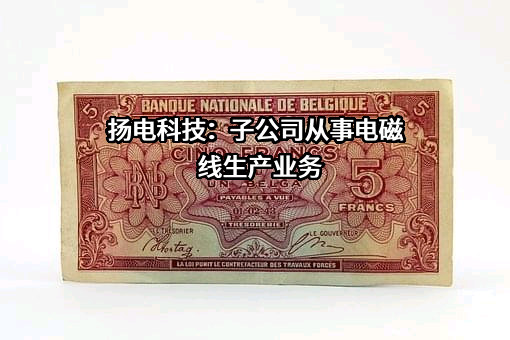 江苏扬电科技股份有限公司