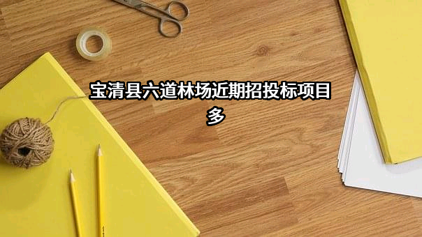 宝清县六道林场
