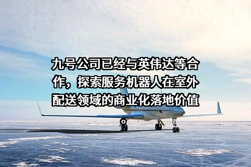 九号有限公司